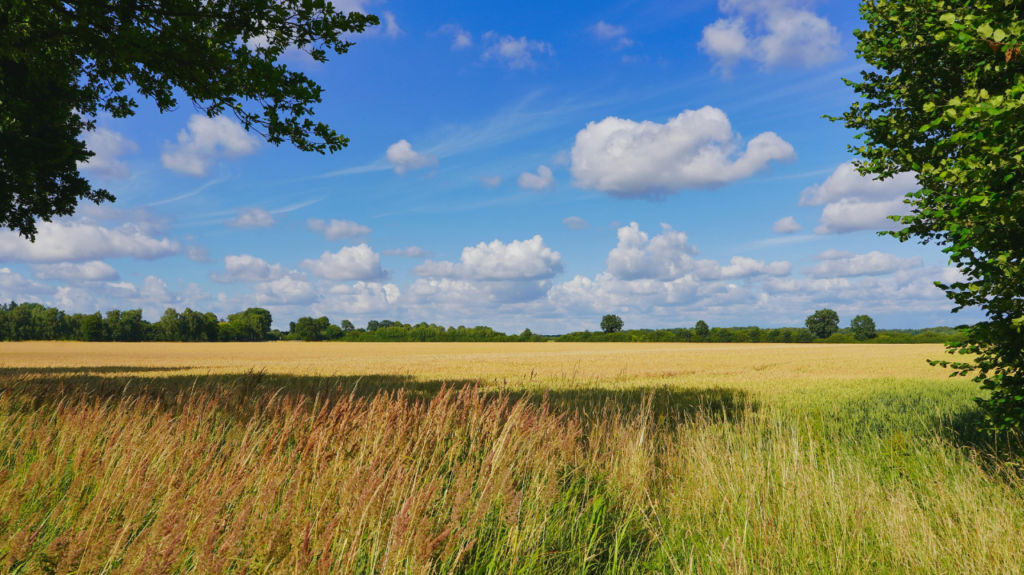 Landschaft nahe Kiel